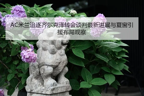 AC米兰追逐齐尔克泽转会谈判最新进展与夏窗引援布局观察 | kaiyun